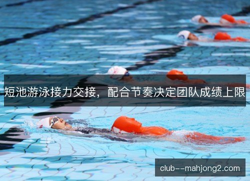 短池游泳接力交接,配合节奏决定团队成绩上限 短池游泳接力交接,配合节奏决定团队成绩上限